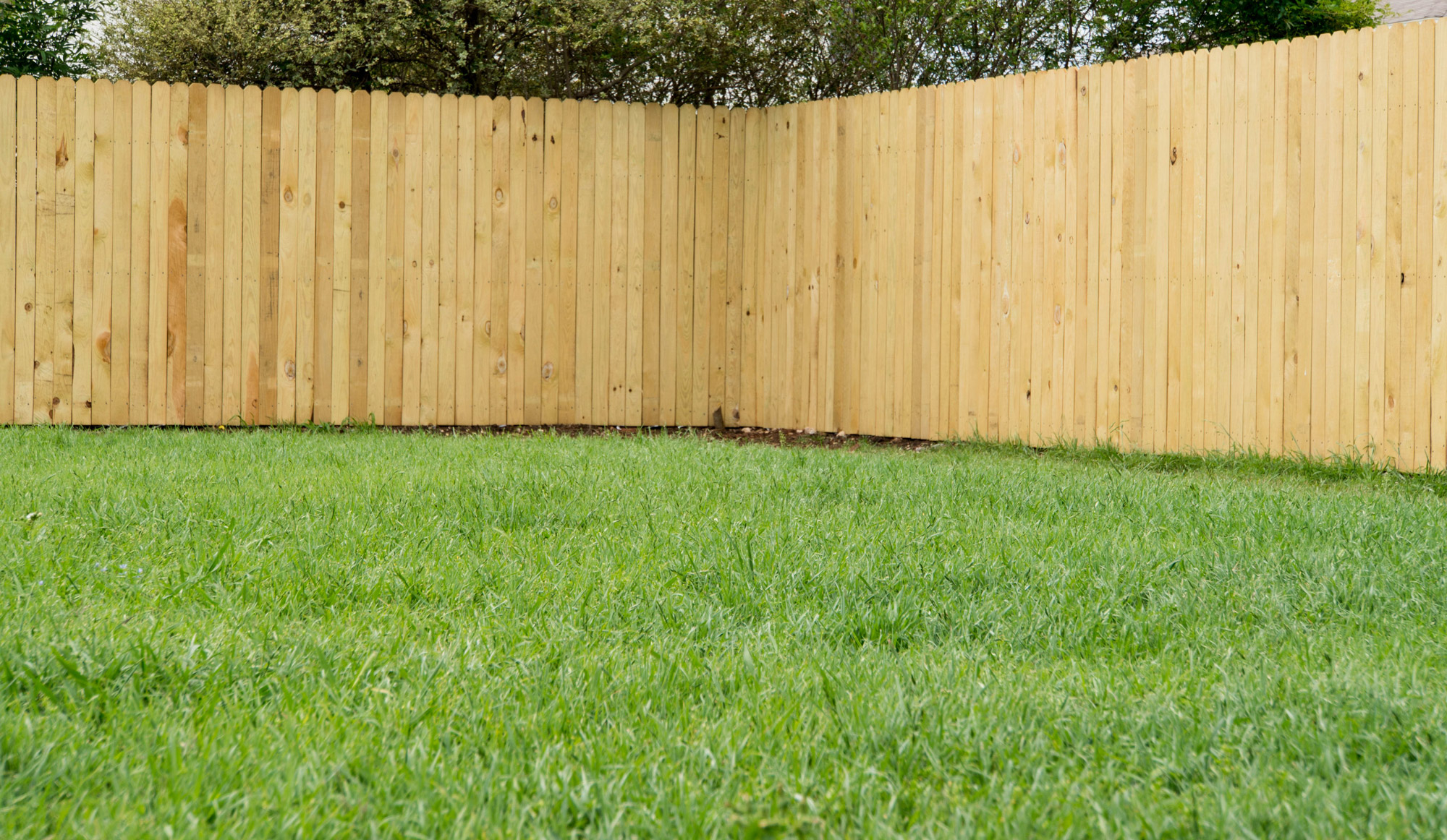 Wood-Fence